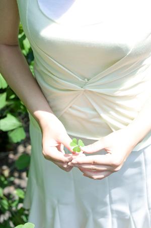 フコイダンの吸収の良いフコキサンチン