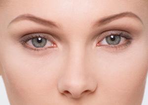 フコイダンシステムをきちんと導入しよう